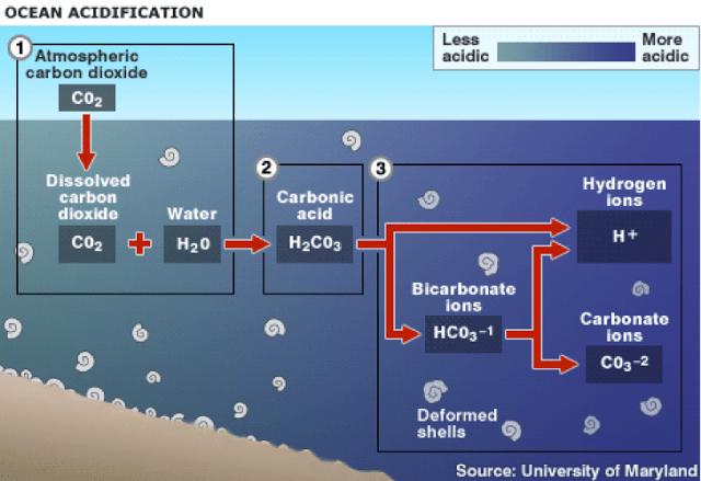 acidification