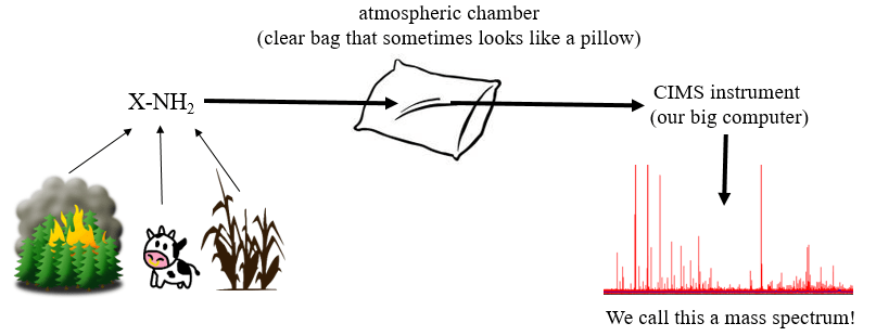 TenHundredWordChallengeFigure