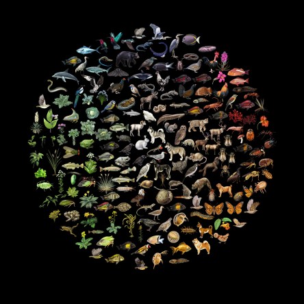 Biodiversity Color Wheel